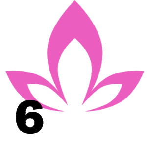 6M conocete